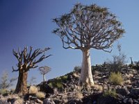057  SOUTH AFRICA