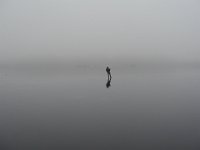006  DENMARK