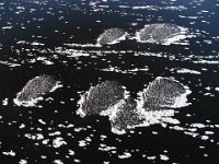 041  DENMARK