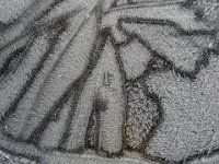 054  DENMARK