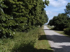 Typisk biotop: Svenstrup Gods (NEZ)