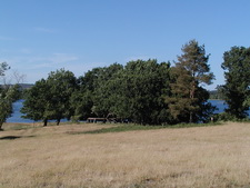 Typisk biotop: Klostermølle, Gl. Rye (EJ)