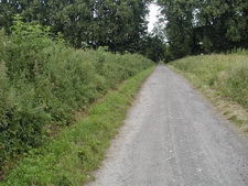 Typisk biotop: Ledreborg (NEZ)