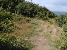 Typisk biotop: Nordby Bakker, Sams� (EJ)